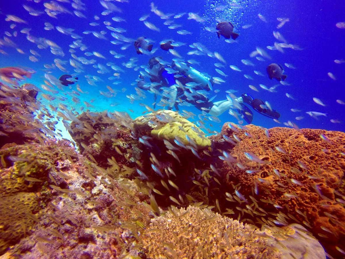 Anema Wellness & Resort Gili Lombok - Diving Center Padi Tanjung  Exteriör bild