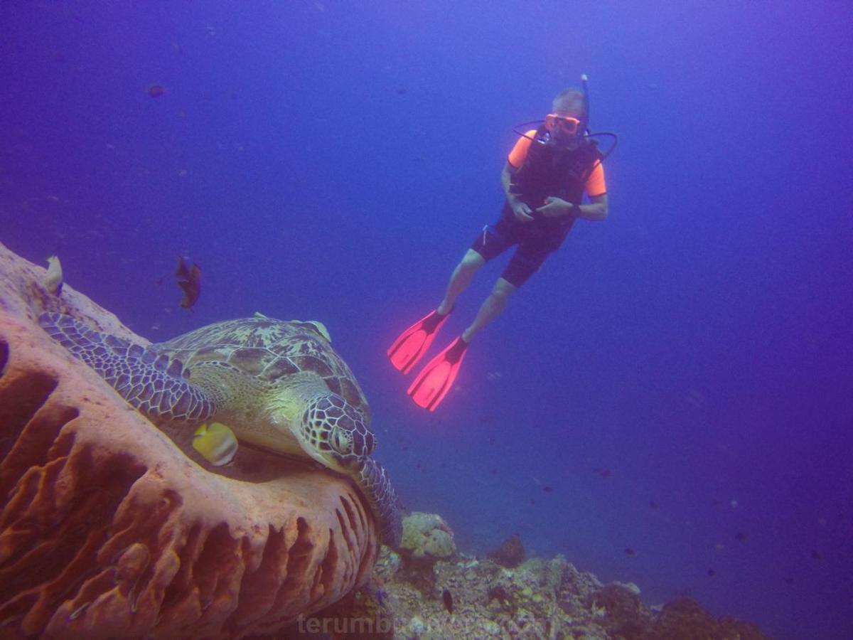 Anema Wellness & Resort Gili Lombok - Diving Center Padi Tanjung  Exteriör bild
