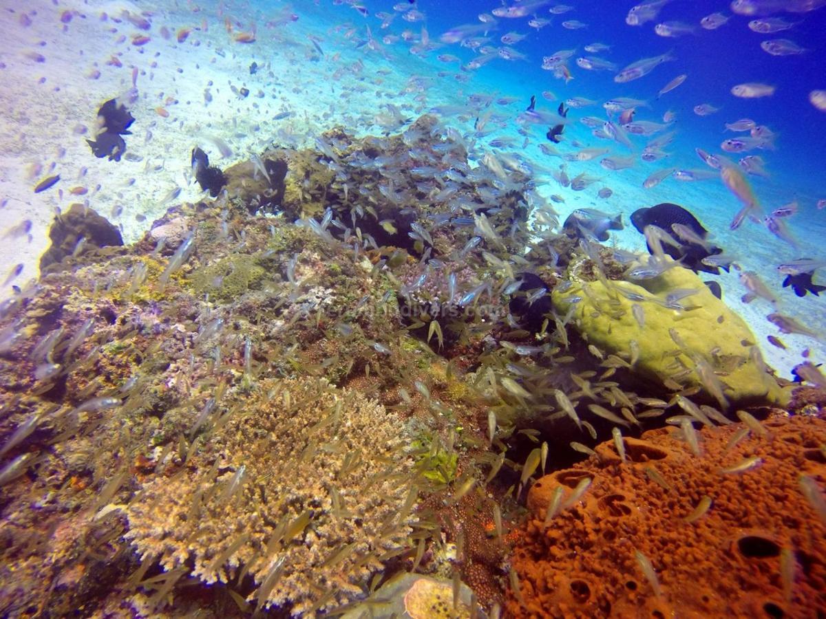 Anema Wellness & Resort Gili Lombok - Diving Center Padi Tanjung  Exteriör bild